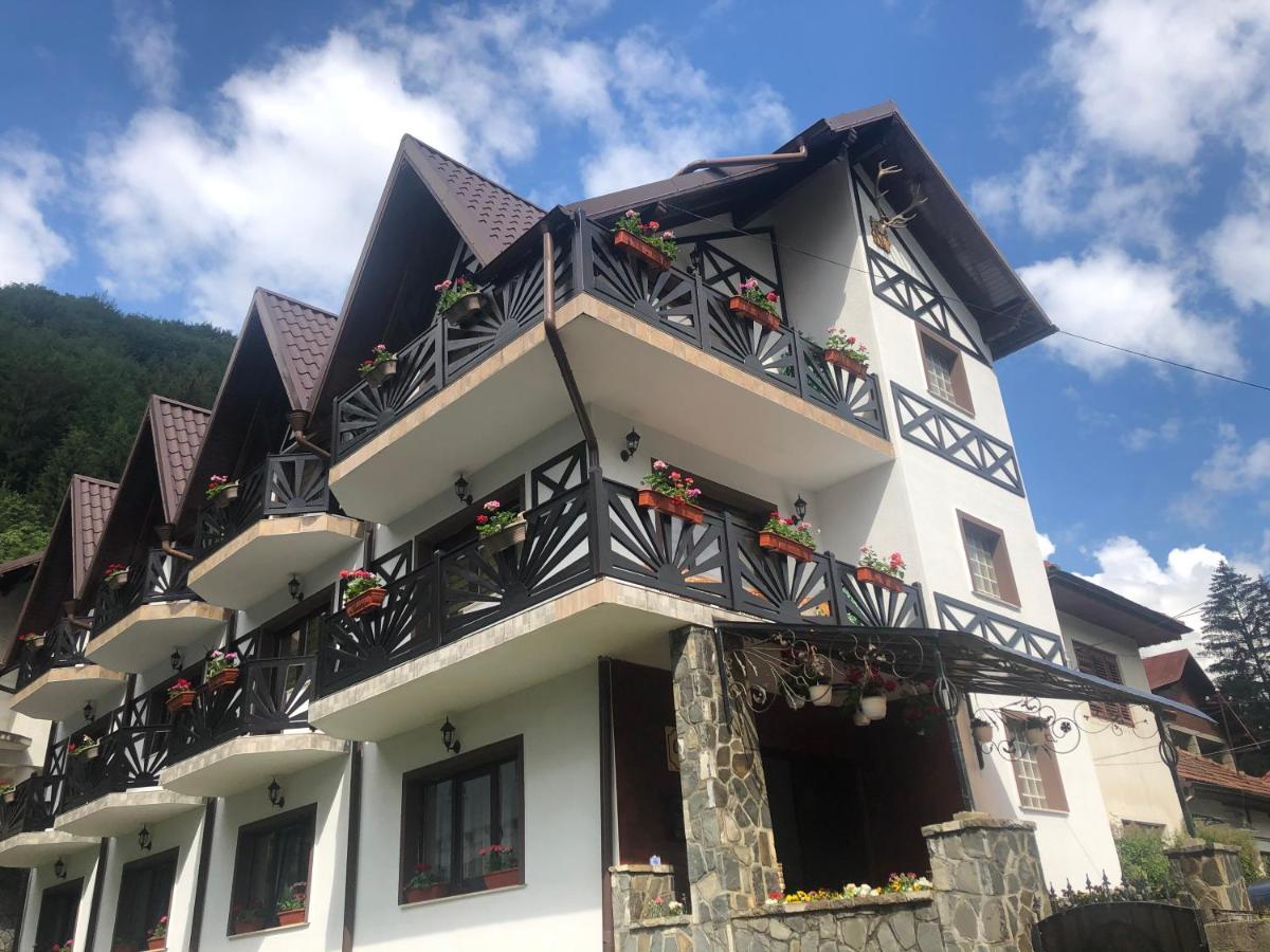 Casa Albert Sinaia Eksteriør billede