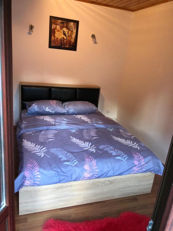 Casa Albert Sinaia Eksteriør billede